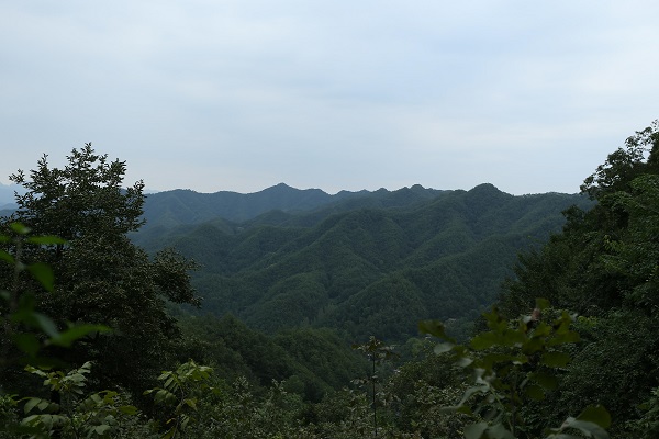 AT7Z0237.JPG..jpg