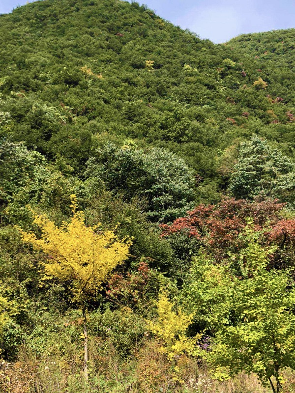 微信图片_20181007134929.jpg